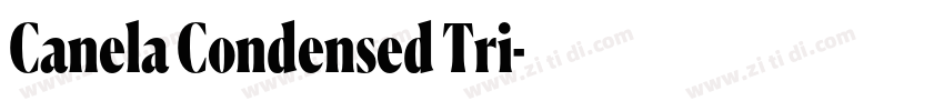 Canela Condensed Tri字体转换